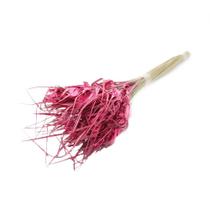 Capim Estrela Rosa Desidratado