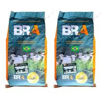 Capim Gado Leite Engorda Brachiaria Ruziziensis Semente Incrustada 20Kg