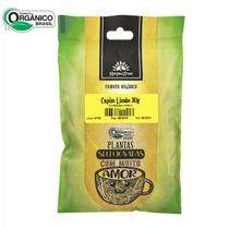 Capim Limão Orgânico In Natura Certificado 30g Kampo de Ervas