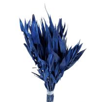 Capim Navalha Folha André Quice Azul