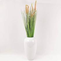 Capim Rabo de Gato Verde Delicadeza Natural para sua Decoração Capim Rabo de Gato Verde Delicadeza Natural para sua Decoração