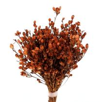 Capim Ramo Laranja p/ Decoração - Tem Flores