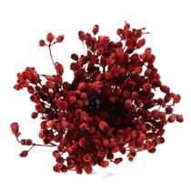 Capim Ramo Vermelho p/ Decoração - Tem Flores