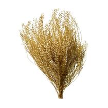 Capim Sementinha - Sempre vivas - Natural e Desidratado Capim Sementinha - Sempre vivas - Natural e Desidratado