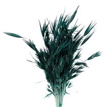 Capim Trigão Verde Desidratado