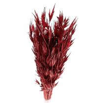 Capim Trigao Vermelho Desidratado Capim Trigao Vermelho Desidratado