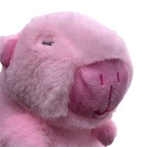Capivara De Pelúcia 20cm, CKS Toys, Bichinho Super Macio Antialérgico