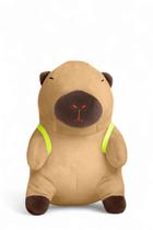 Capivara de Pelúcia Grande 30cm com Acessório Tartaruga