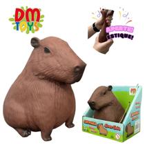 Capivara Divertida Estique e Aperte 12cm - DM Toys - Comercial Dm Brasil Ltda Capivara Divertida Estique e Aperte 12cm - DM Toys - Comercial Dm Brasil Ltda