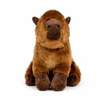 Capivara Pelúcia Realista 25 cm Macia, Antialérgica, Presente Perfeito. Capivara Pelúcia Realista 25 cm Macia, Antialérgica, Presente Perfeito.