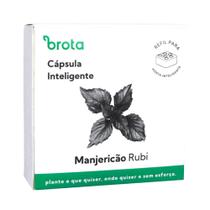 Capsula Manjericão Rubi para Horta Autoirrigavel Brota Capsula Manjericão Rubi para Horta Autoirrigavel Brota