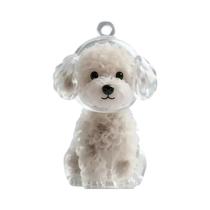 Cápsula Memorial Transparente Para Pelos De Animais De Estimação, Pingente De Chaveiro Para Amantes