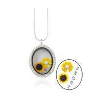 Capsula Relicário Oval com Zircônia + Charmes com fecho Imã em Banho Prata