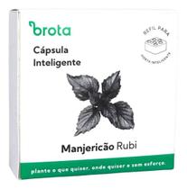 Cápsula Reposição Horta Inteligente (manjericão Rubi) Brota Cápsula Reposição Horta Inteligente (manjericão Rubi) Brota