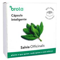 Cápsula Reposição Horta Inteligente (Sálvia) BROTA Cápsula Reposição Horta Inteligente (Sálvia) BROTA