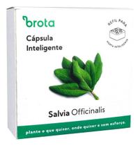 Cápsula Reposição Horta Inteligente (Salvia Officinalis) Brota Cápsula Reposição Horta Inteligente (Salvia Officinalis) Brota
