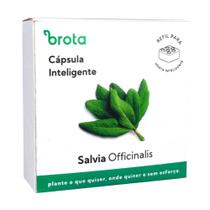 Capsula Sálvia para Horta Autoirrigavel Brota Capsula Sálvia para Horta Autoirrigavel Brota