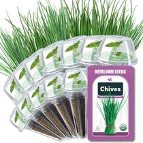 Cápsulas de sementes de cebolinha HiHOYA kit hidropônico de ervas com 12 unidades Cápsulas de sementes de cebolinha HiHOYA kit hidropônico de ervas com 12 unidades