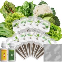 Cápsulas de sementes LYKOCLEAN Mix Salad 12 cápsulas 400+ sementes Cápsulas de sementes LYKOCLEAN Mix Salad 12 cápsulas 400+ sementes