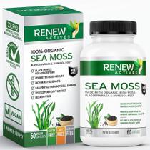 Cápsulas Sea Moss Renew Actives - Ação Tripla - 60 Cápsulas