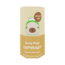 Capybara Série Sonny Angel Mini Personagens De Anime Acessórios De Jogos De Moda Para Crianças