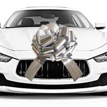 Car Bow HQJAXJ 20" Giant Metallic Silver Waterproof Car Bow HQJAXJ 20" Giant Metallic Silver Waterproof