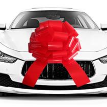 Car Bow HQJAXJ Arco vermelho gigante impermeável de 20 polegadas