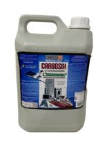 Carbosix Nanoflotador Limpador Instantâneo Uso Geral Carbo60