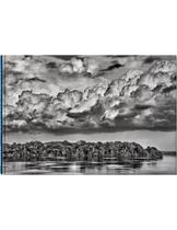 Carderno "Amazônia Salgado - Bloco de Notas. Parana"