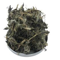 Cardo Santo 100Gr