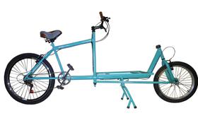 Cargo Bike (CB001) Ecocase