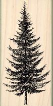 Carimbos de borracha da Impression Pine Tree Christmas ST 0926