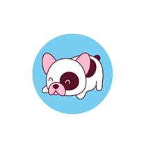 Carimbos Stamp Pets Animais CIS