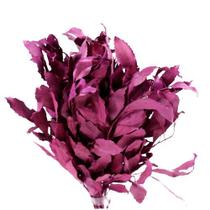 Carne de Vaca / Carvalho Pink Carne de Vaca / Carvalho Pink