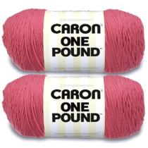Caron One Pound Hilo Rosa 454g 4 Medio Acrílico Paquete de 2