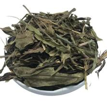 Carqueja Doce 100gr (Erva Desidratada)