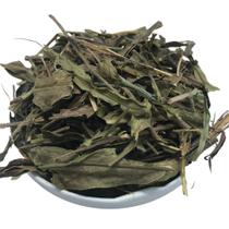 Carqueja Doce 500Gr (Erva seca para chá) - Produto vendido a granel
