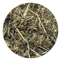 Carrapicho 250gr (Erva Desidratada) Carrapicho 250gr (Erva Desidratada)