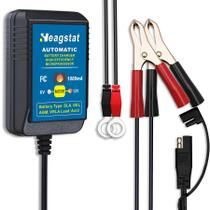 Carregador de bateria Heagstat HEAG010 6V/12V 1A Smart Maintainer