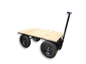Carrinho De Carga Plataforma 300kg Profissional
