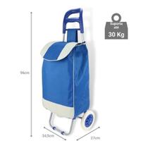 Carrinho de Compras Leva Tudo Bag Colorido Suporta Até 30kg