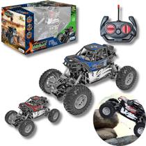 Carrinho De Controle Remoto 4x4 Off Road Rally Envio Imediato