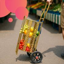 Carrinho De Feira Dobrável Até 30Kg De Aço Dourado Resistente