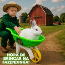 Carrinho De Mão Radical RB15 VERDE