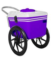 Carrinho De Sorvete 300 Picolés T350 Thermototal / Branco Carrinho De Sorvete 300 Picolés T350 Thermototal / Branco