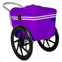 Carrinho De Sorvete 300 Picolés T350 Thermototal Roxo Carrinho De Sorvete 300 Picolés T350 Thermototal Roxo