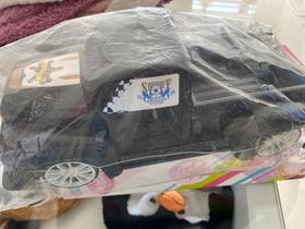 Carrinho pick Up paptor