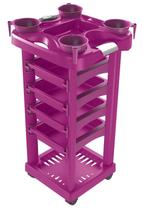 Carrinho Pink para Tintura Luxo - Santa Clara