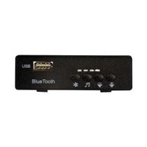 Carro Elétrico Infantil 12V Bluetooth Music Player USB MP3 TF Card Socket Display Tensão