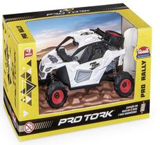 Carro Pro Tork Utv Off-road Pro Rally Usual Menino